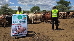 Qurban 2026